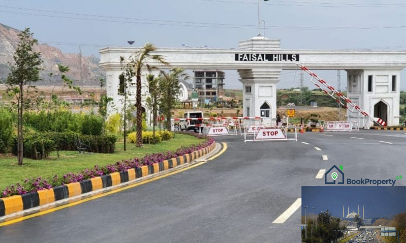 Faisal Hills Gate Picture